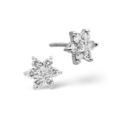 Diamond Cluster Earrings 0.30ct White Gold -The Diamond Store 11576w