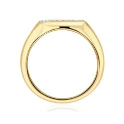Mens Lab Diamond Signet Ring 9K Gold 0.25ct H/Si -The Diamond Store LBD1200s